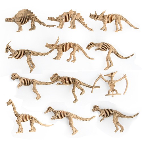 12pcs dinosaur fossil skeleton - 12pcs,