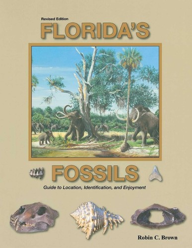 Florida fossils - florida's,