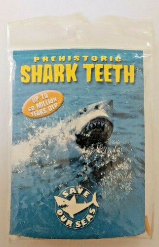 Prehistoric shark teeth great - teeth,
